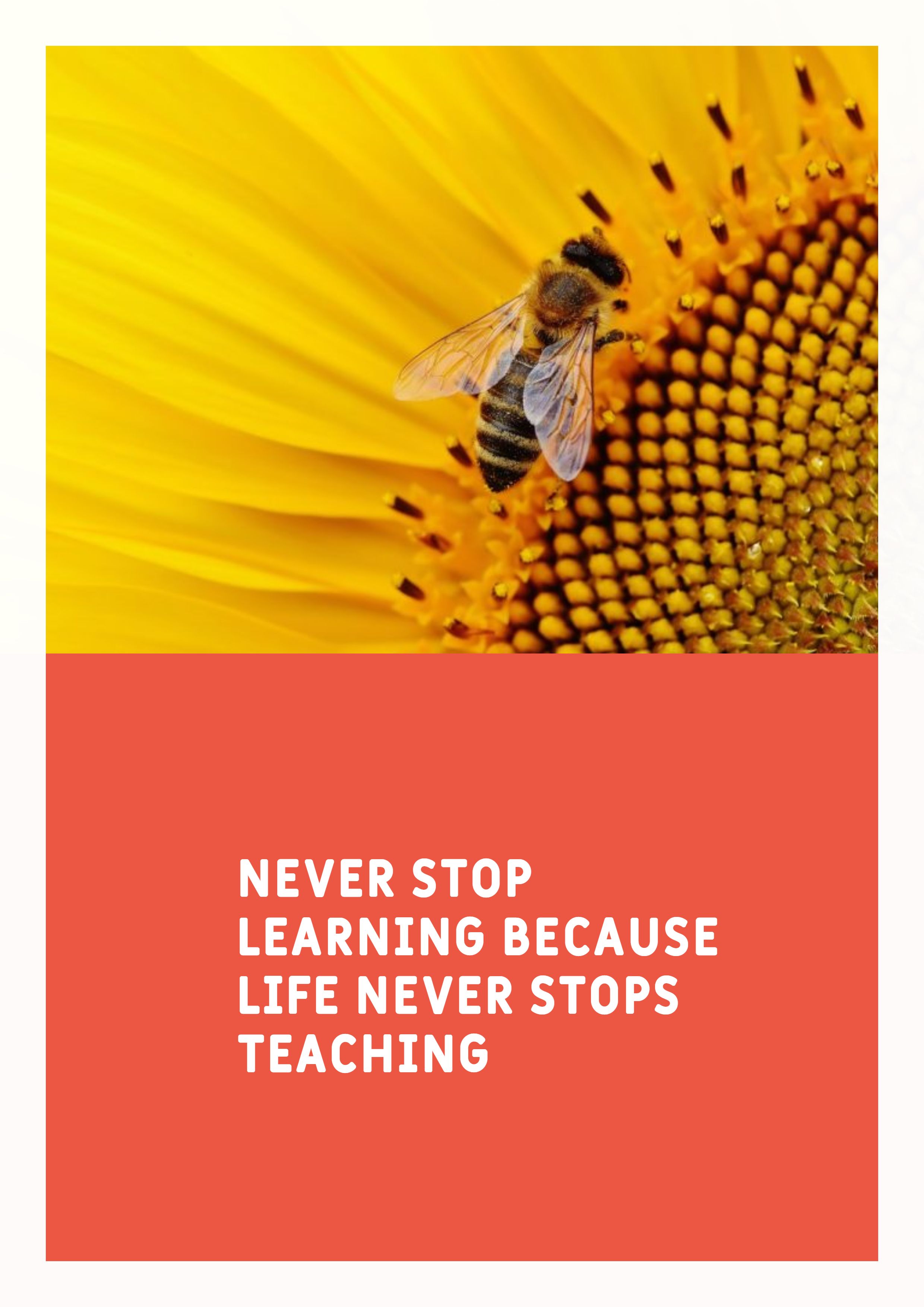 Detail Never Stop Learning Quotes Nomer 32