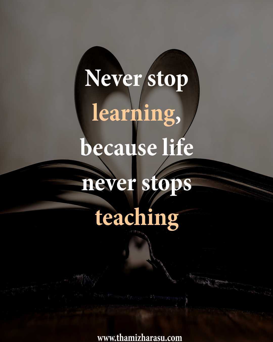 Detail Never Stop Learning Quotes Nomer 5