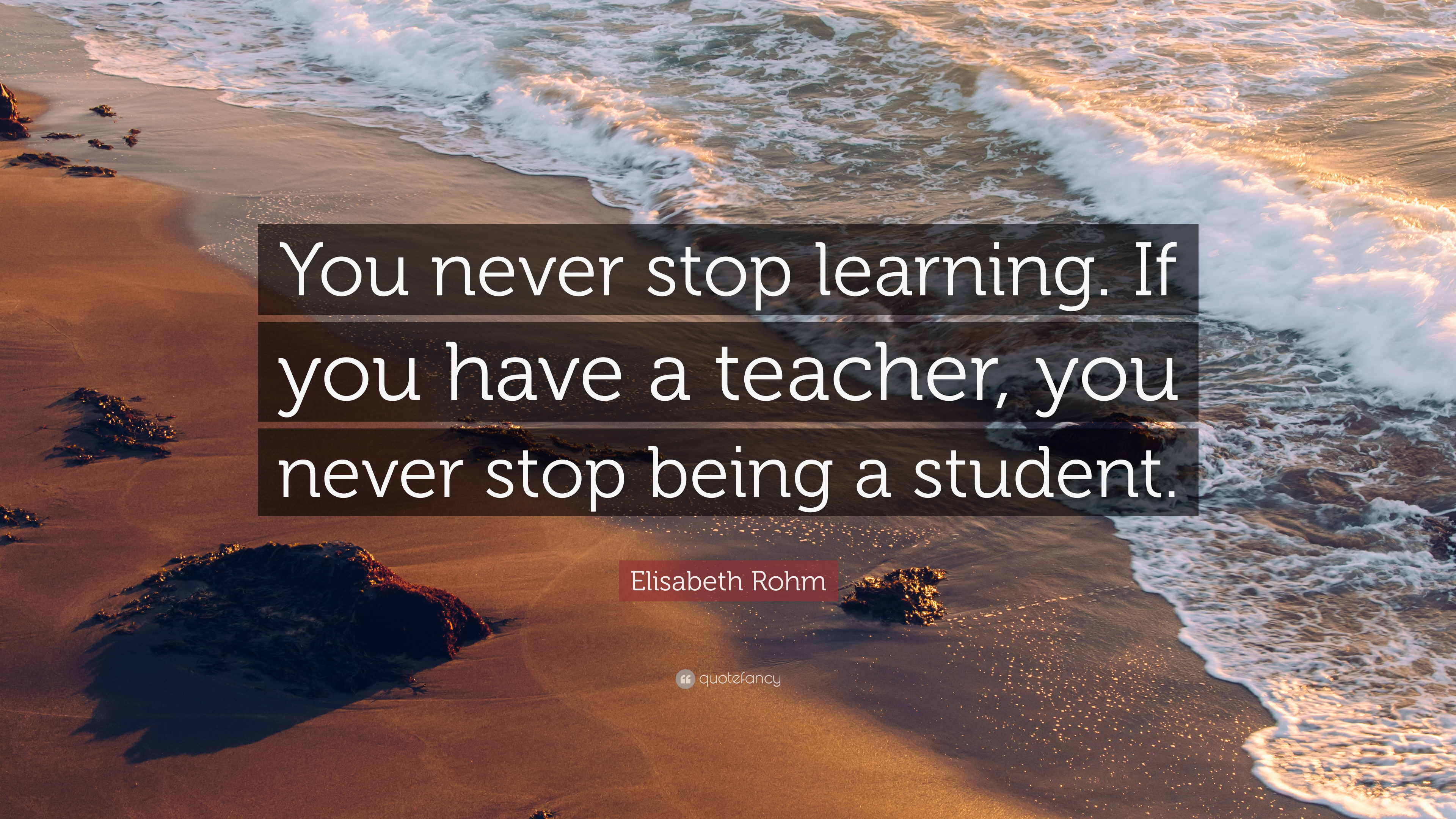 Detail Never Stop Learning Quotes Nomer 45