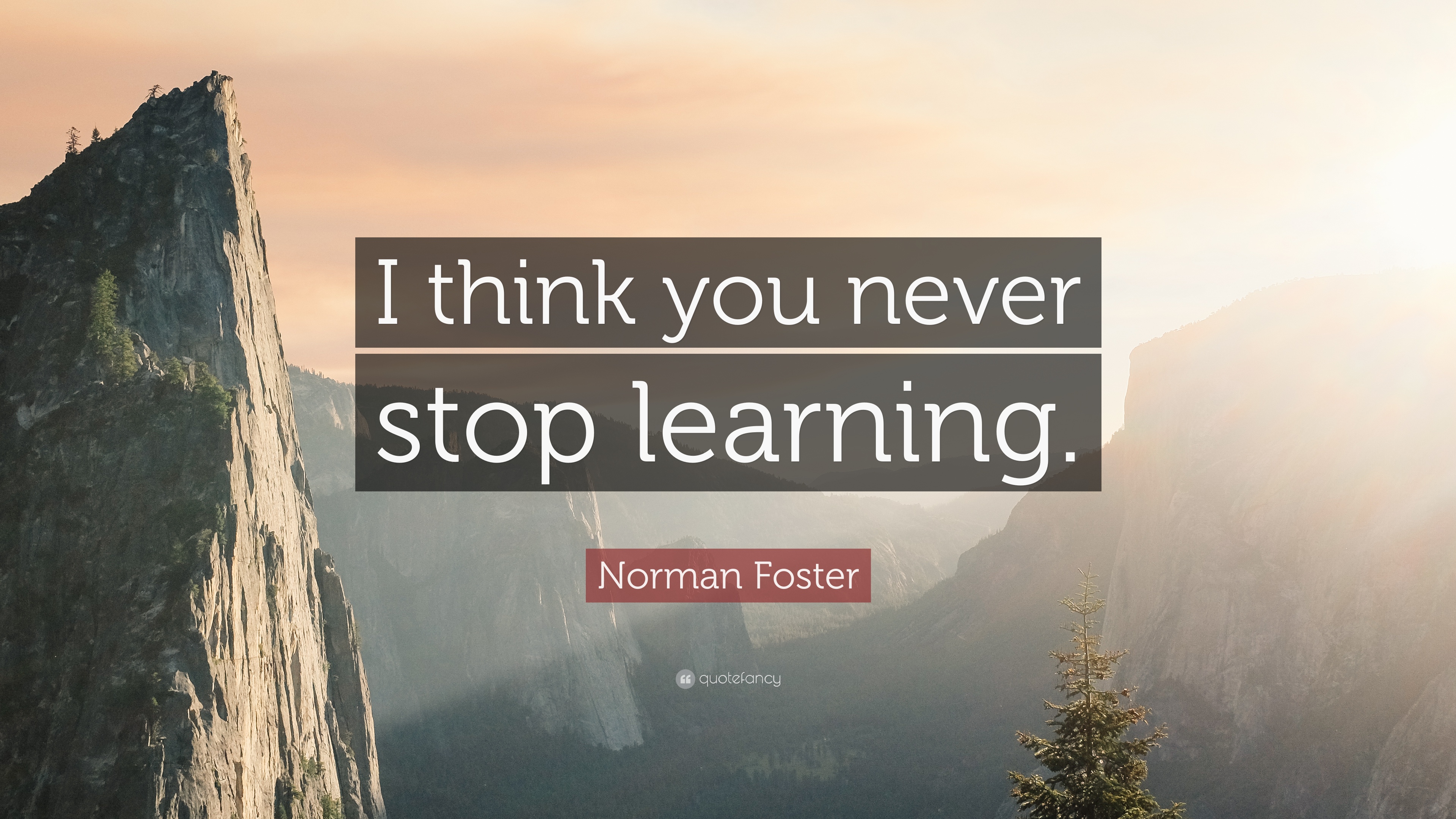 Detail Never Stop Learning Quotes Nomer 53