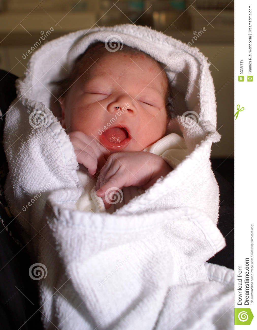Detail New Born Baby Images Free Download Nomer 14