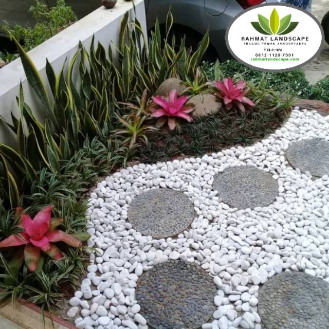 Detail Desain Taman Batu Koral Nomer 22