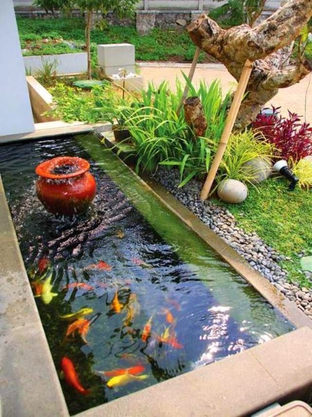 Download Desain Taman Dan Kolam Ikan Minimalis Nomer 2