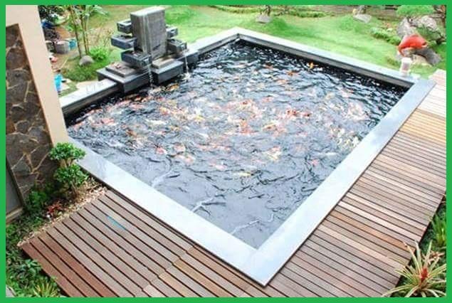 Detail Desain Taman Dan Kolam Ikan Minimalis Nomer 25