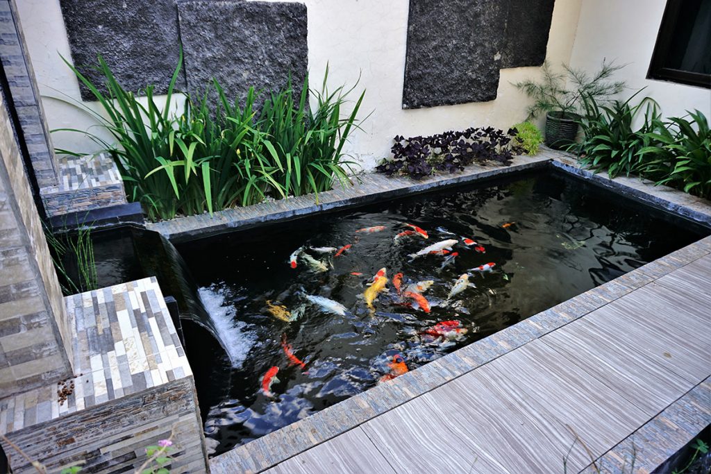 Detail Desain Taman Dan Kolam Ikan Minimalis Nomer 4