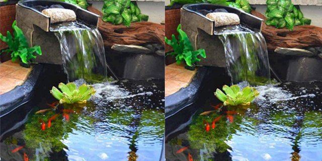 Detail Desain Taman Dan Kolam Ikan Minimalis Nomer 46