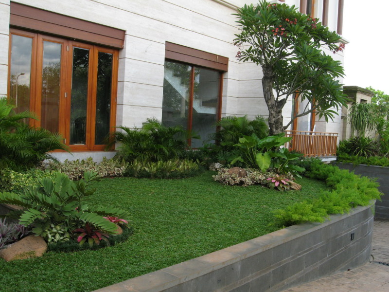 Detail Desain Taman Depan Pagar Rumah Nomer 44