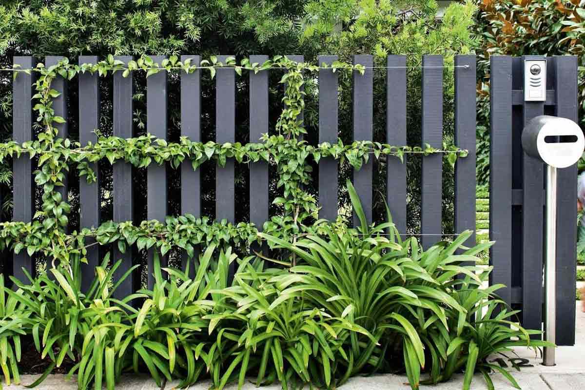 Detail Desain Taman Depan Pagar Rumah Nomer 49