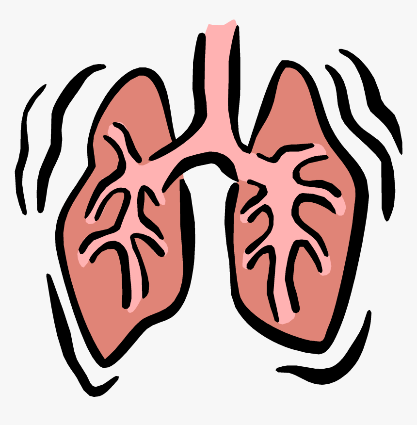 Detail Lung Png Nomer 8