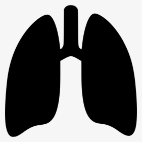 Detail Lung Png Nomer 10