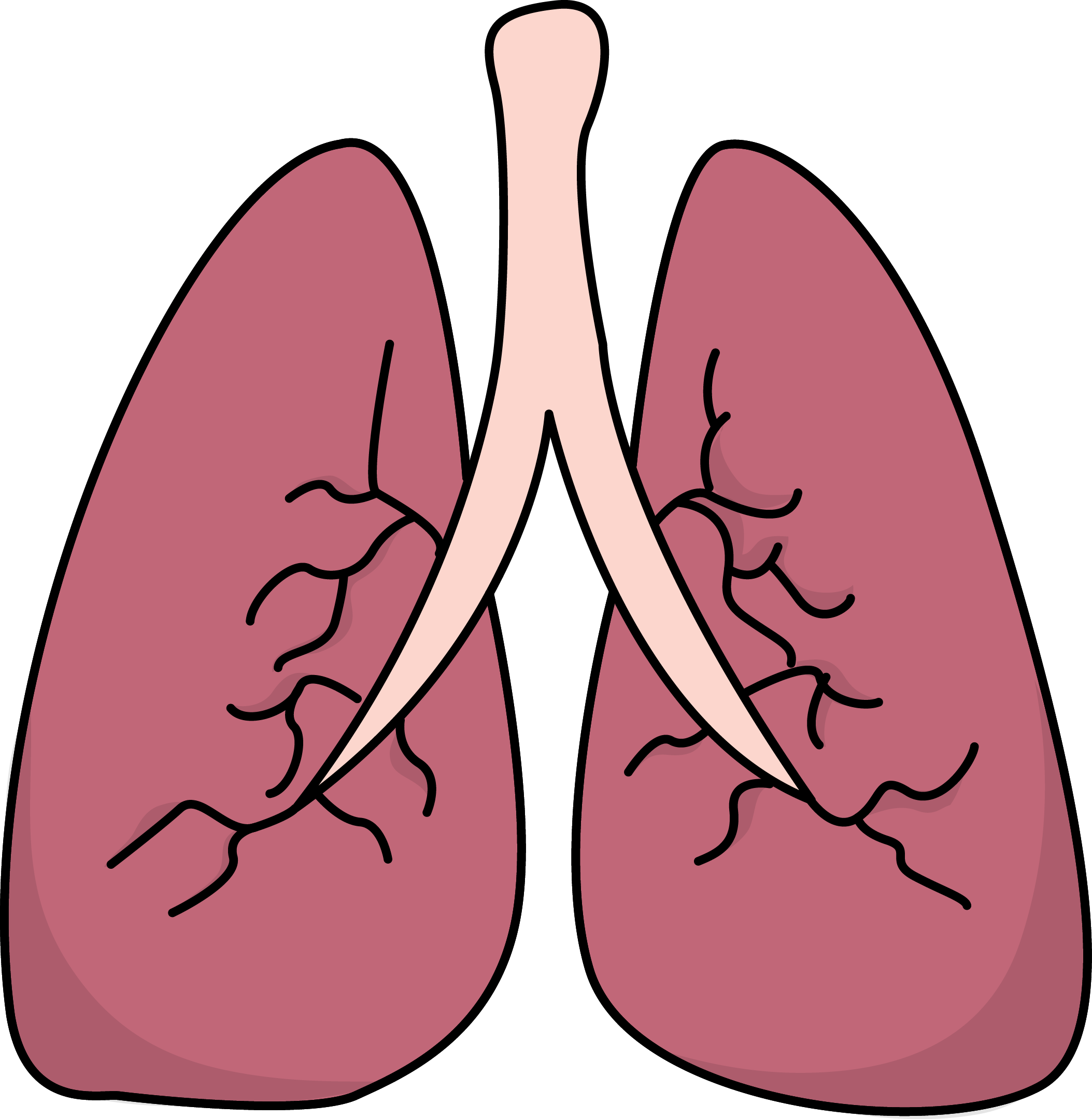 Detail Lung Png Nomer 7
