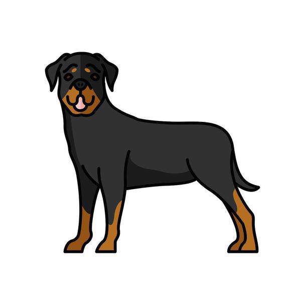 Detail Rottweiler Kopf Nomer 21