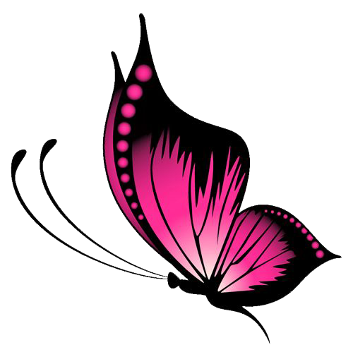 Detail Schmetterling Png Nomer 7