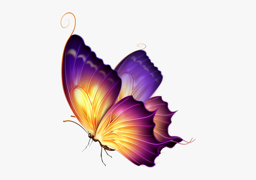 Schmetterling Png - KibrisPDR