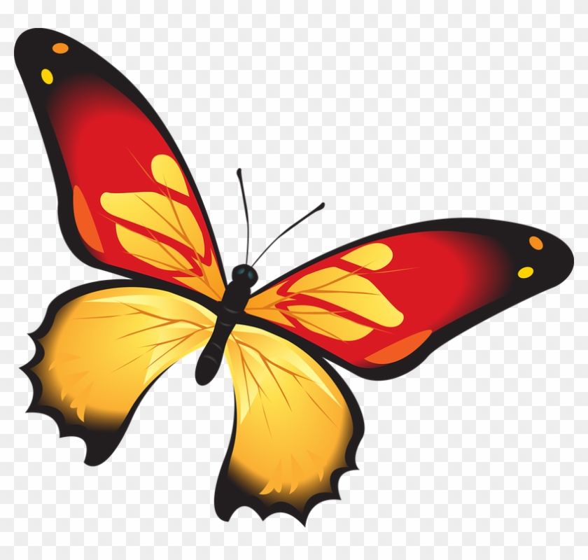 Detail Schmetterling Png Nomer 16