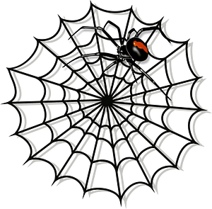 Detail Spider Web Png Nomer 10