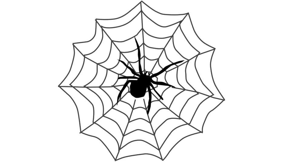 Detail Spider Web Png Nomer 12