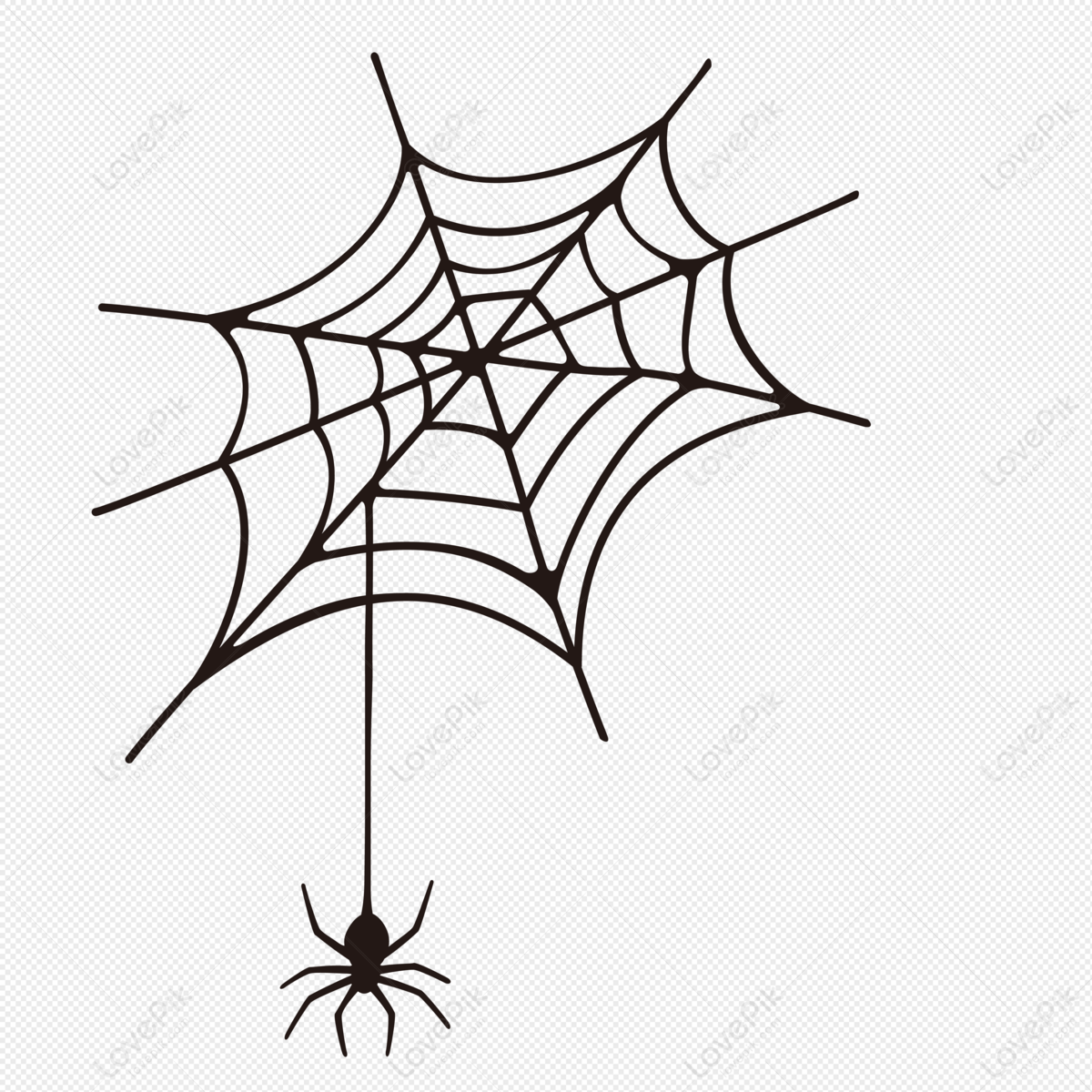 Detail Spider Web Png Nomer 16
