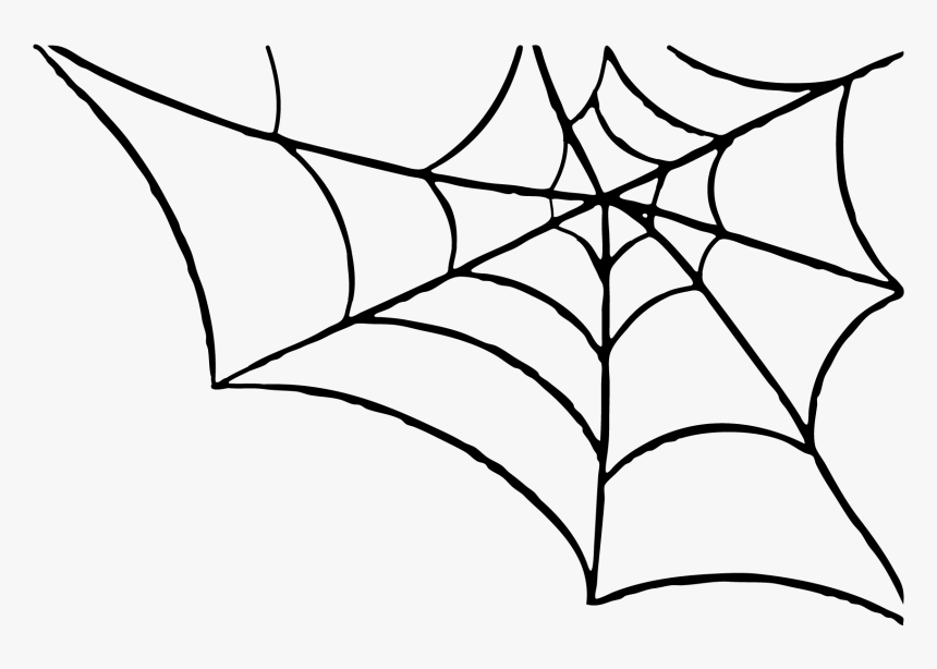 Detail Spider Web Png Nomer 4