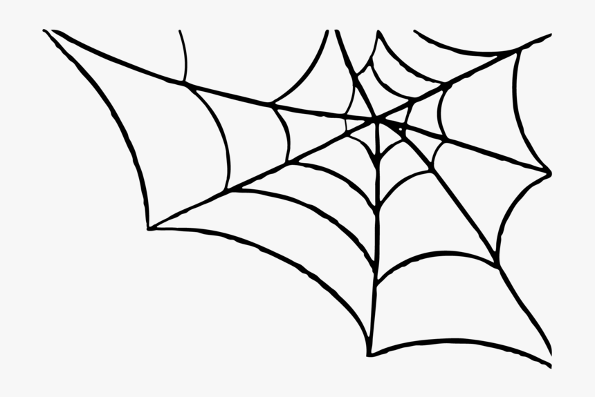 Detail Spider Web Png Nomer 7