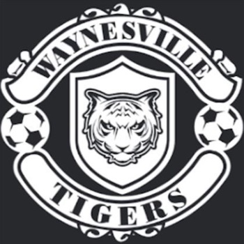 Detail Logo Futsal Harimau Nomer 41