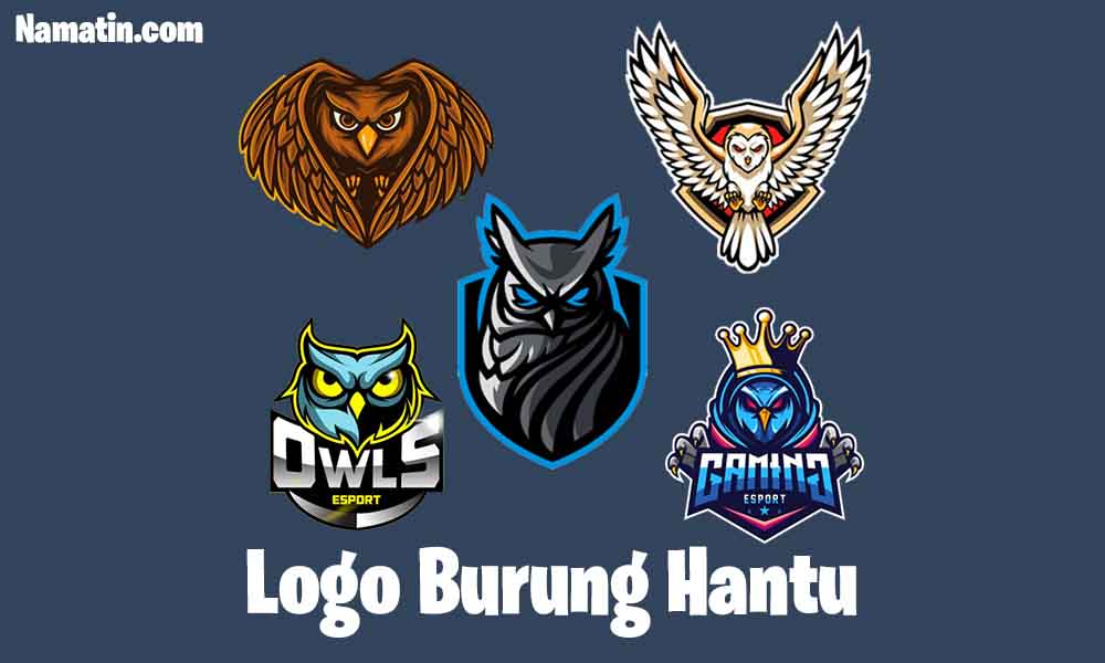 Detail Logo Gambar Burung Hantu Nomer 33