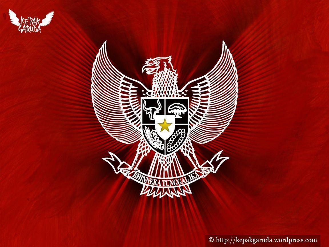 Detail Logo Garuda Timnas Indonesia Nomer 17