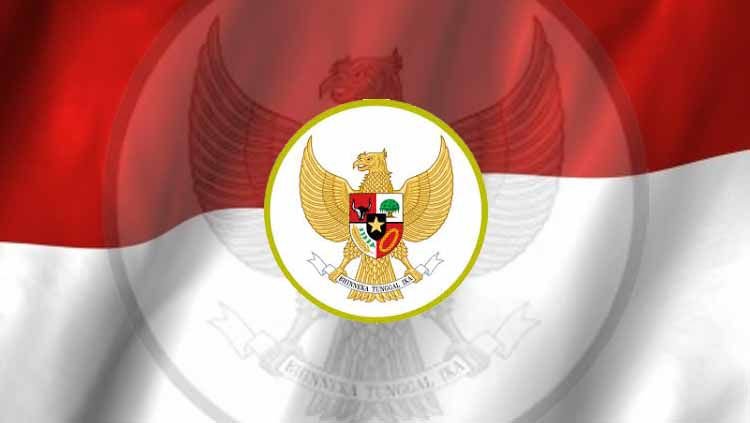 Detail Logo Garuda Timnas Indonesia Nomer 6