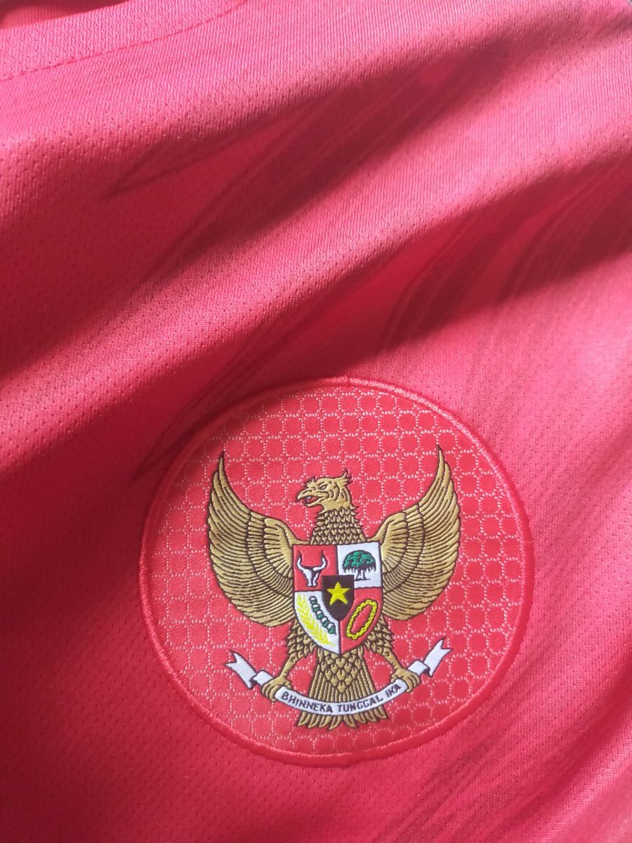 Detail Logo Garuda Timnas Indonesia Nomer 8