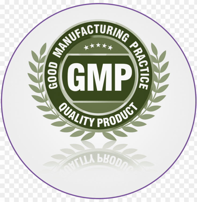 Detail Logo Gmp Png Nomer 11