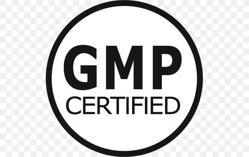 Detail Logo Gmp Png Nomer 20