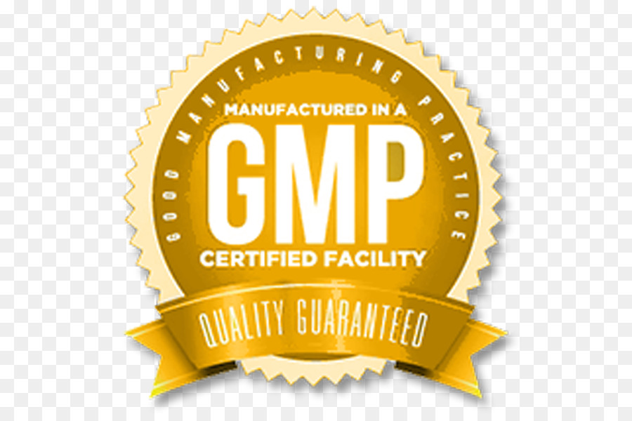 Detail Logo Gmp Png Nomer 21