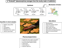 Detail New Russian Drug Krokodil Wiki Nomer 25