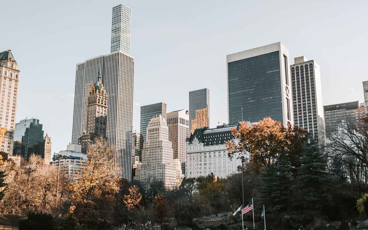 Detail New York City Sekolah Tinggi Dan Universitas Nomer 3