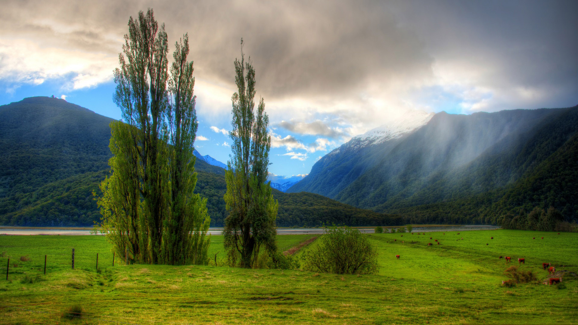 Detail New Zealand Wallpaper Hd Nomer 33