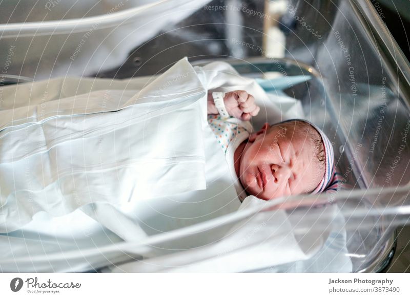 Detail Newborn Baby Images Free Nomer 45