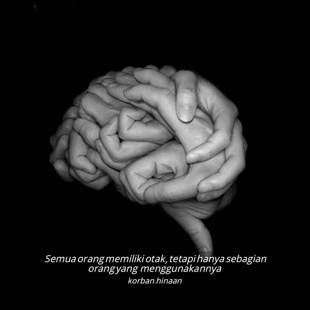 Detail Nggak Punya Otak Nomer 16