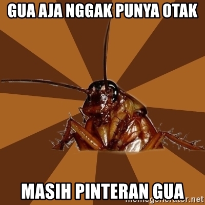Detail Nggak Punya Otak Nomer 19