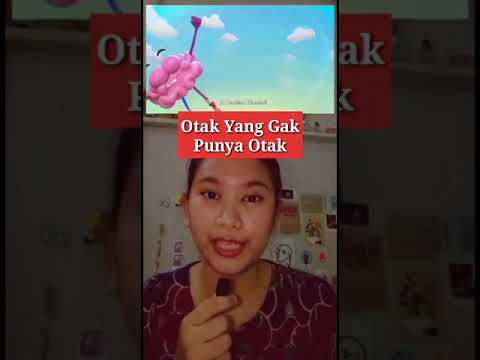 Detail Nggak Punya Otak Nomer 40