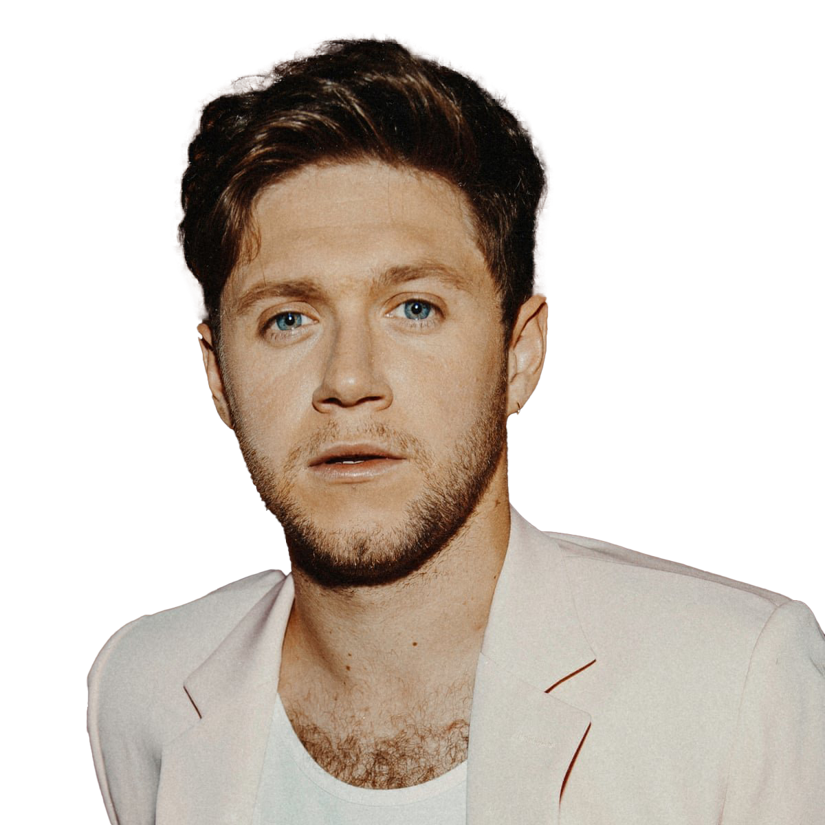 Detail Niall Horan Png Nomer 4