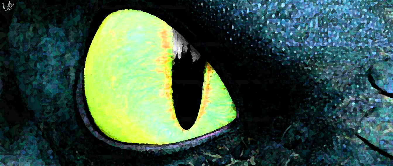 Detail Night Fury Eyes Nomer 33