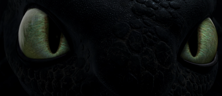 Detail Night Fury Toothless Eyes Nomer 3