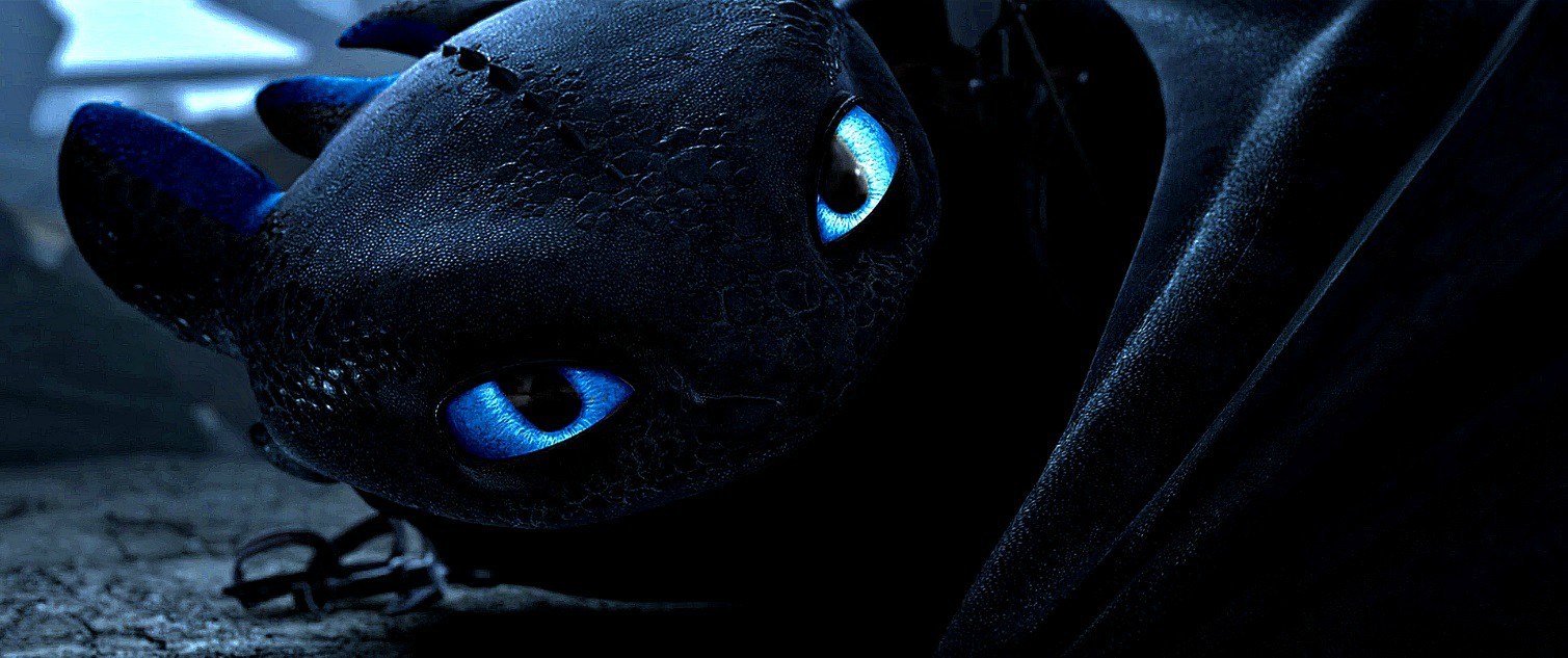 Detail Night Fury Toothless Eyes Nomer 31