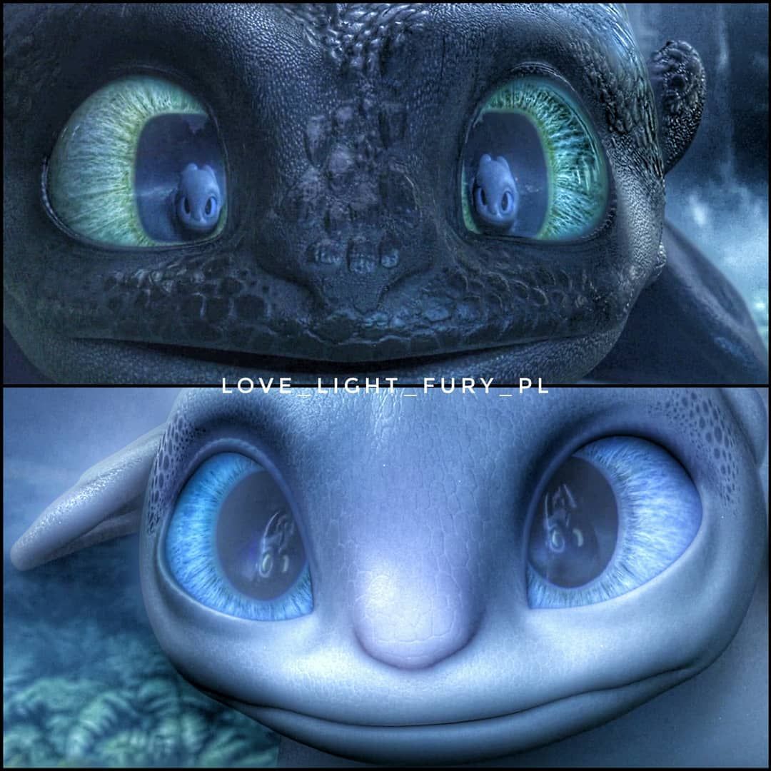 Detail Night Fury Toothless Eyes Nomer 35