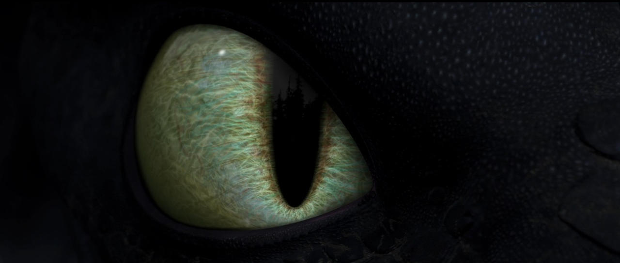 Detail Night Fury Toothless Eyes Nomer 6