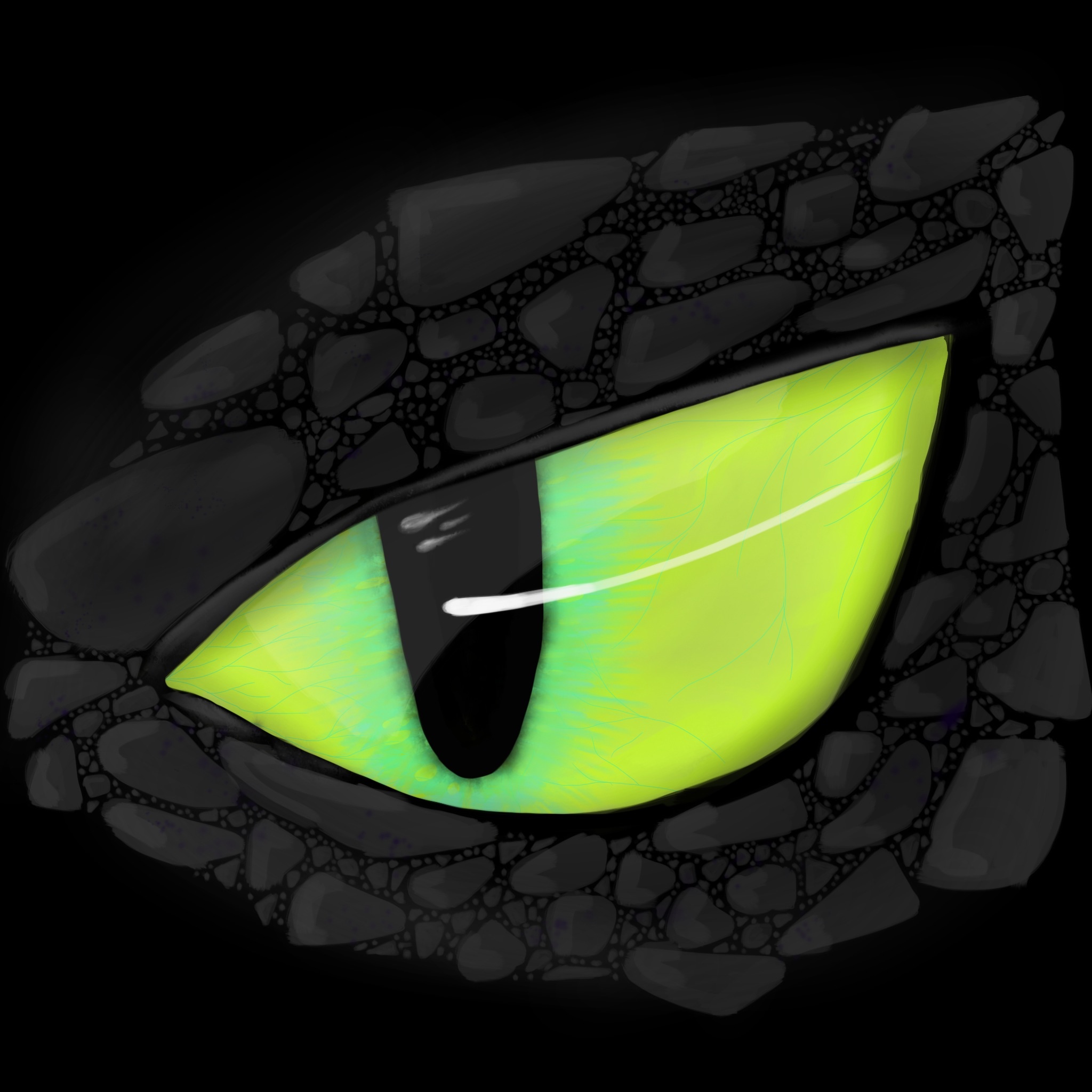 Detail Night Fury Toothless Eyes Nomer 8
