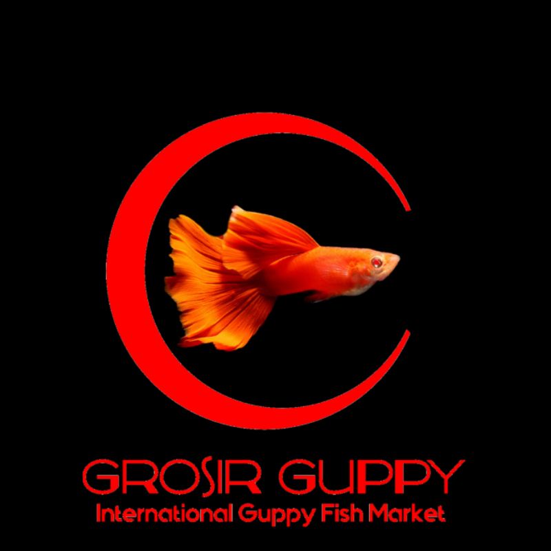 Detail Logo Guppy Afr Nomer 28