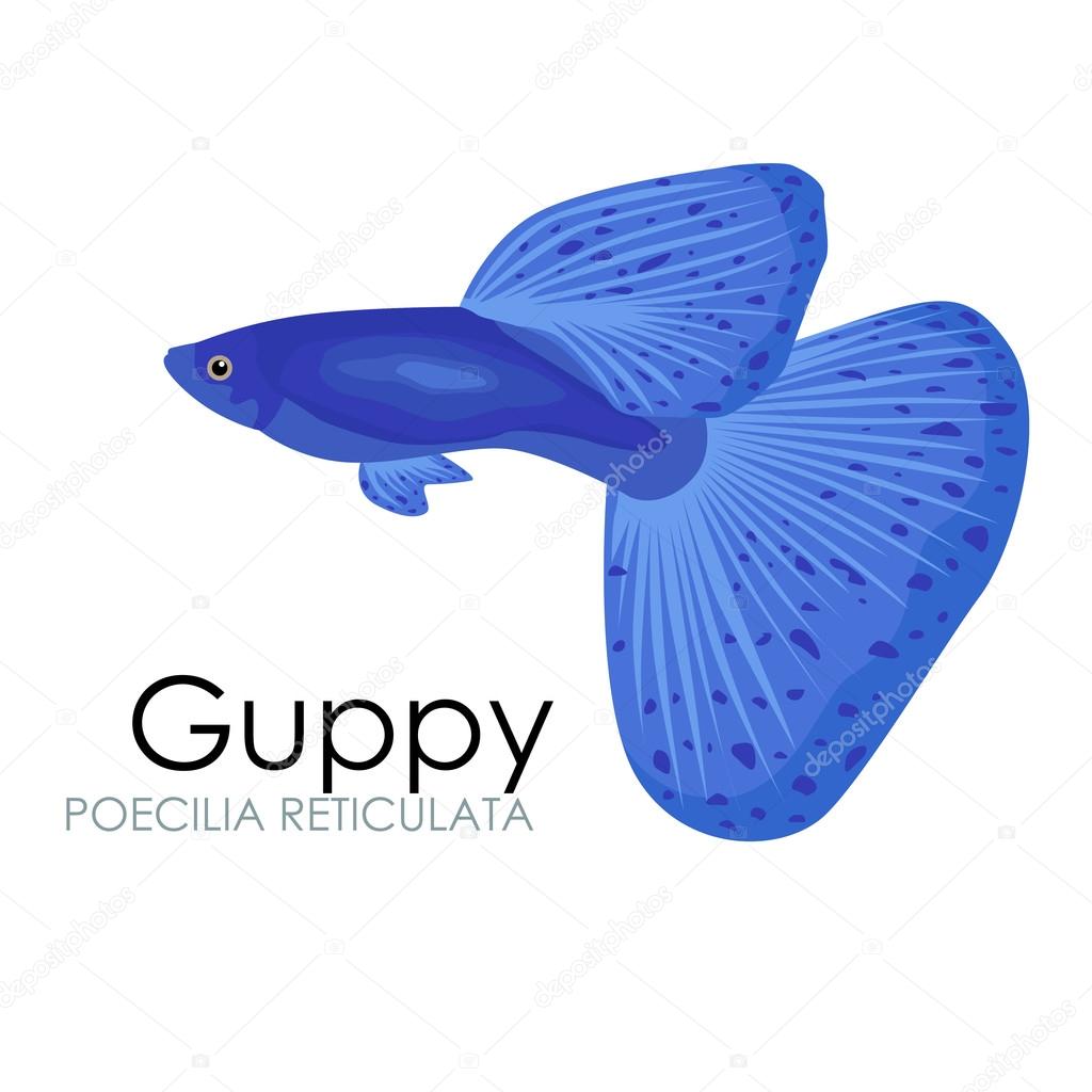 Detail Logo Guppy Design Nomer 20