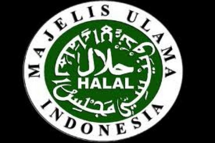 Detail Logo Halal Transparan Nomer 41