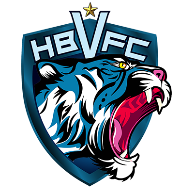 Detail Logo Harimau Biru Nomer 4
